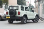 Tank 300 Time Traveler Compact SUV | Buy Direct from China – Electric Cars From China USA